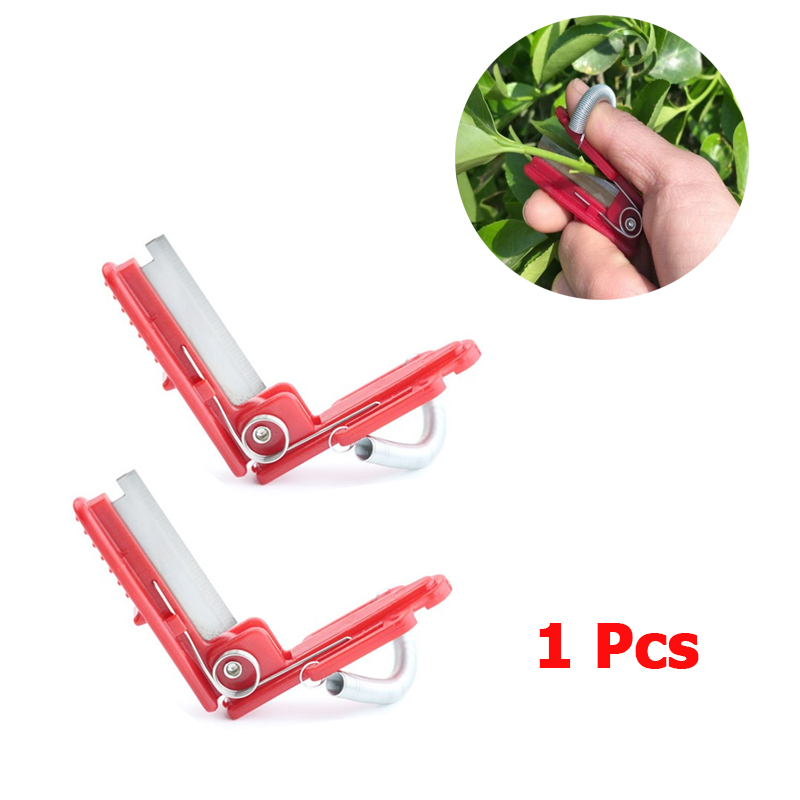 Harvest Knife Garden - Groente Thump Mes Separator Groente Fruit