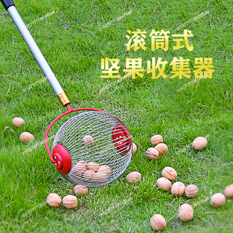 Gardening Tools Amazon - Amazon, Fruitplukker, Notenplukker, Tuin Gereedschap, Walnootplukker,
