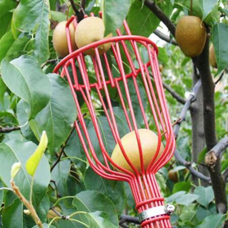 Gardening Tools Basket - Diepe mand fruitplukkerkop, draagbare luchtharvester voor