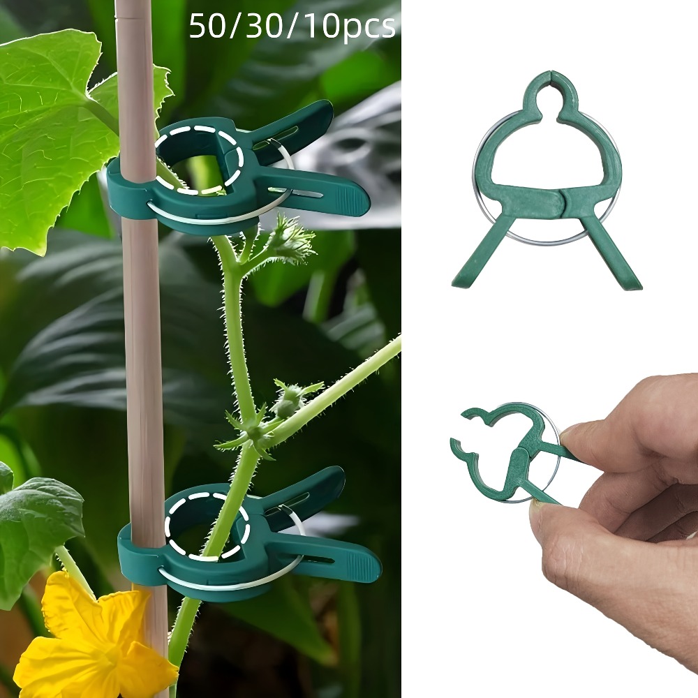 Gardening Tools Essential - 10/30/50 stuks verstelbare plantenklemmen - herbruikbare