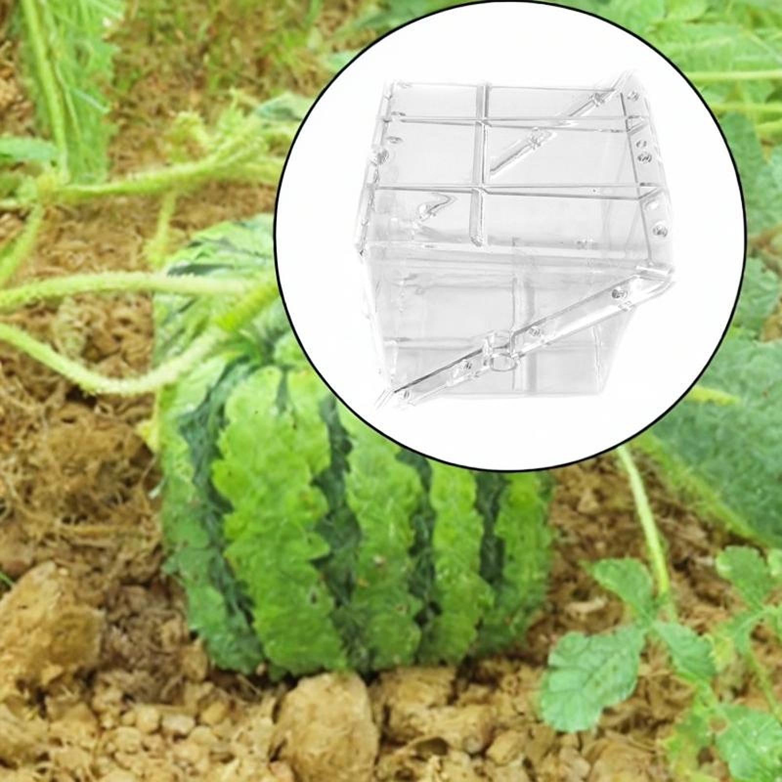 Gardening Tools Unique - Vierkante watermeloengroeivormapparatuur Eenvoudig te gebruiken Hoge