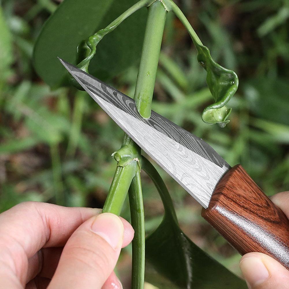 Transplantatiemes, entenmes, e - Harvest Knife Garden recensie en prijs