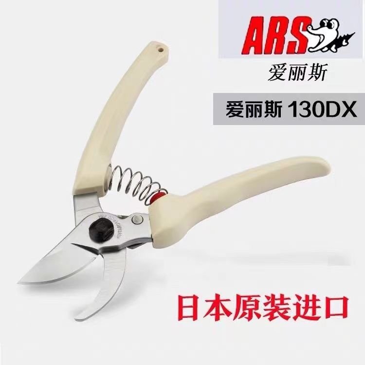 Snoeischaar, tuingereedschap,  - Gardening Tools Japan recensie en prijs