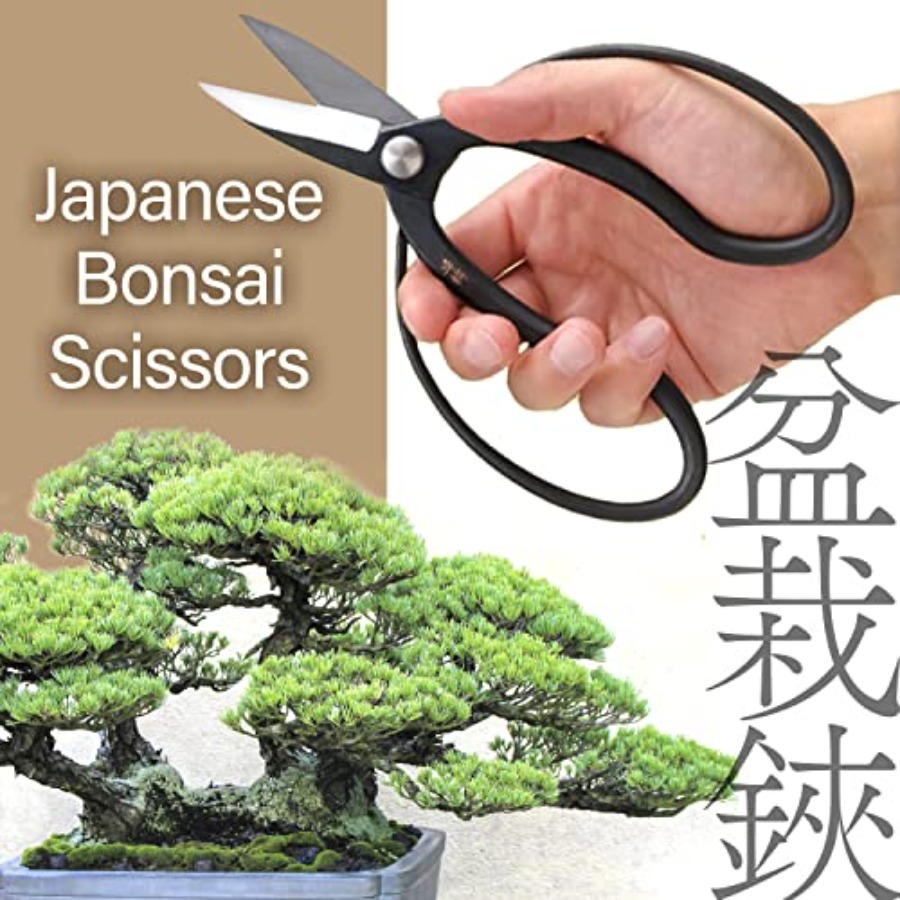 Japanse Suiryu Bonsai-schaar - - Gardening Tools Japan recensie en prijs