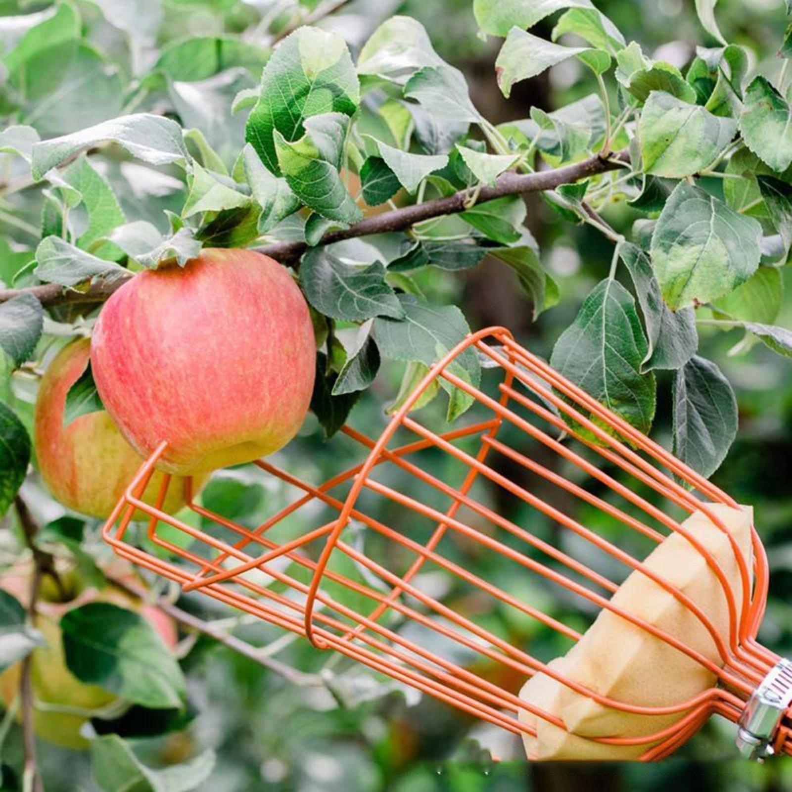 fruitplukker Dieptemand met in - Gardening Tools Basket recensie en prijs