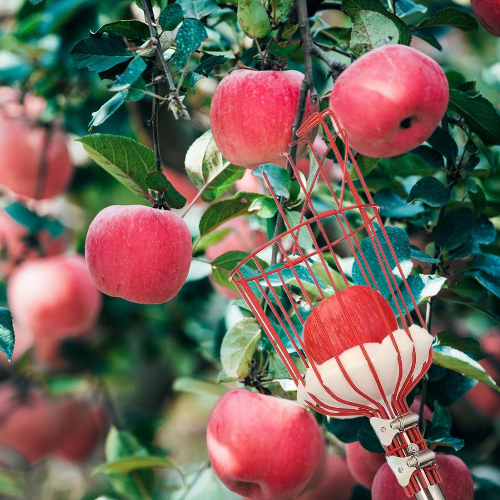fruitplukker Dieptemand met in - Gardening Tools Basket recensie en prijs