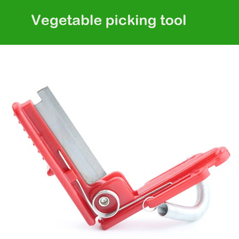 Mes Separator Groente Fruit Oo - Harvest Knife Garden recensie en prijs