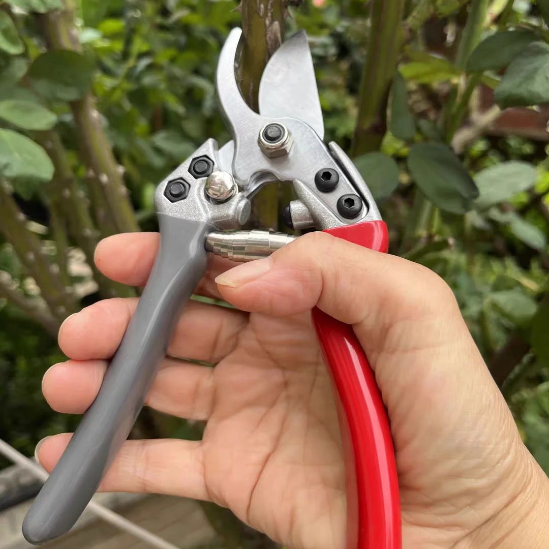 Japan Vvt Nieuwe Sk5 Sterke Tu - Gardening Tools Japan recensie en prijs