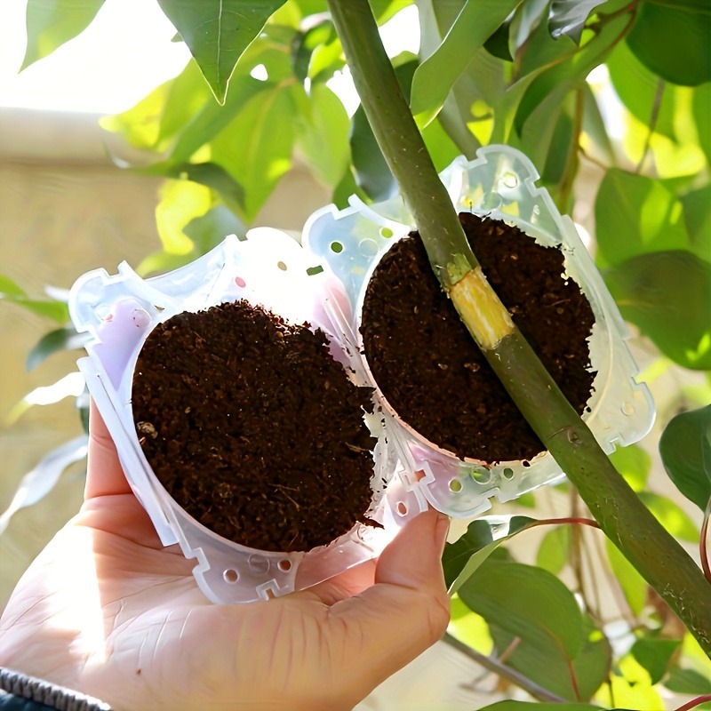 10-delige hogedruk plantenwort - Gardening Tools Organizer recensie en prijs