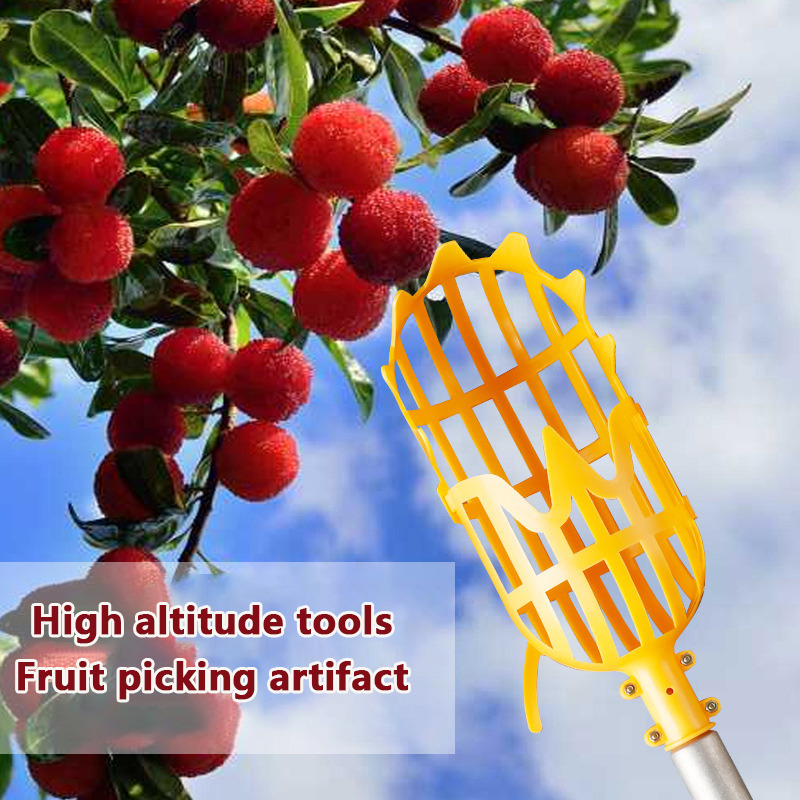 [C] Loquat-plukhulpstuk Bayber - Gardening Tools Basket recensie en prijs